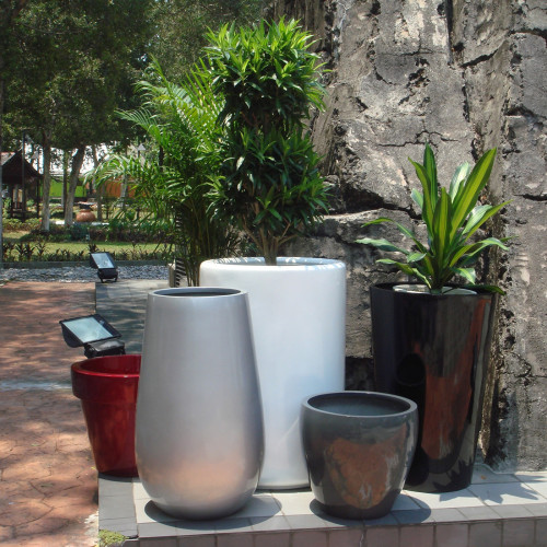 Contemporary Pots & Plants