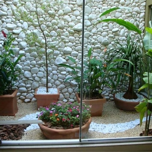 Courtyard Resident Indoor Plants