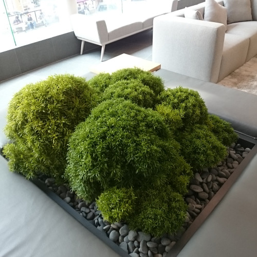 Indoor Mini Landscape