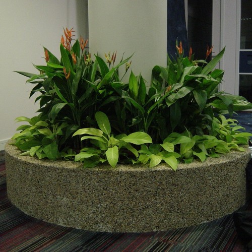 Indoor Mixed Shrubs Planter