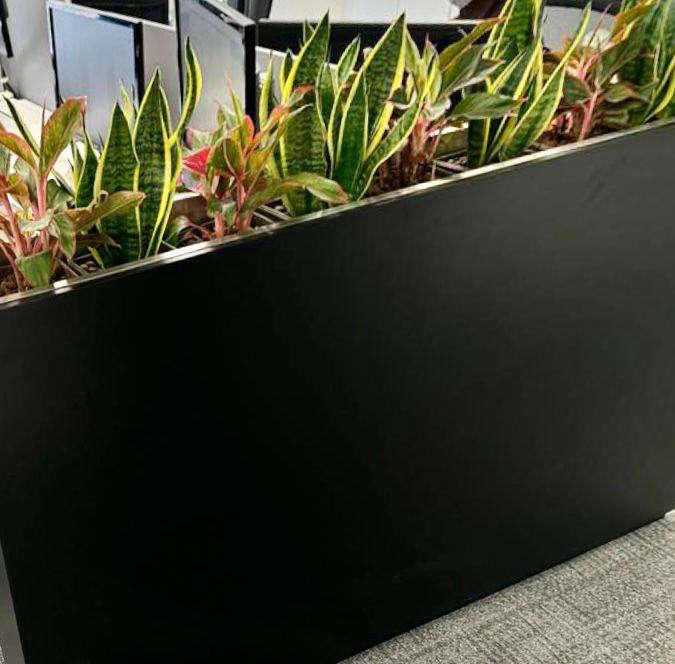 Mixed Plants in Rectangular Pot