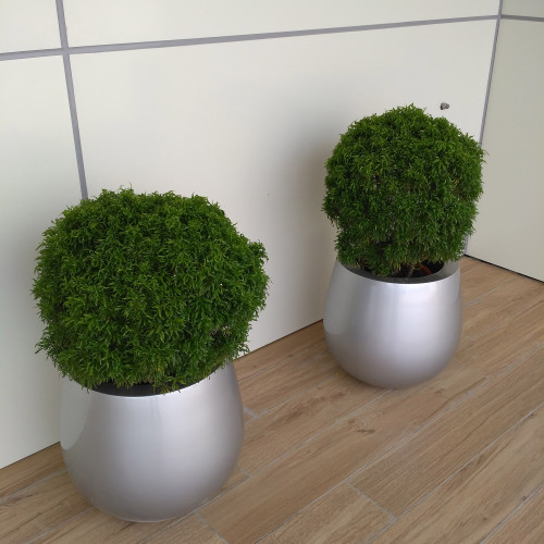 Modern Fiberglass Round Pots