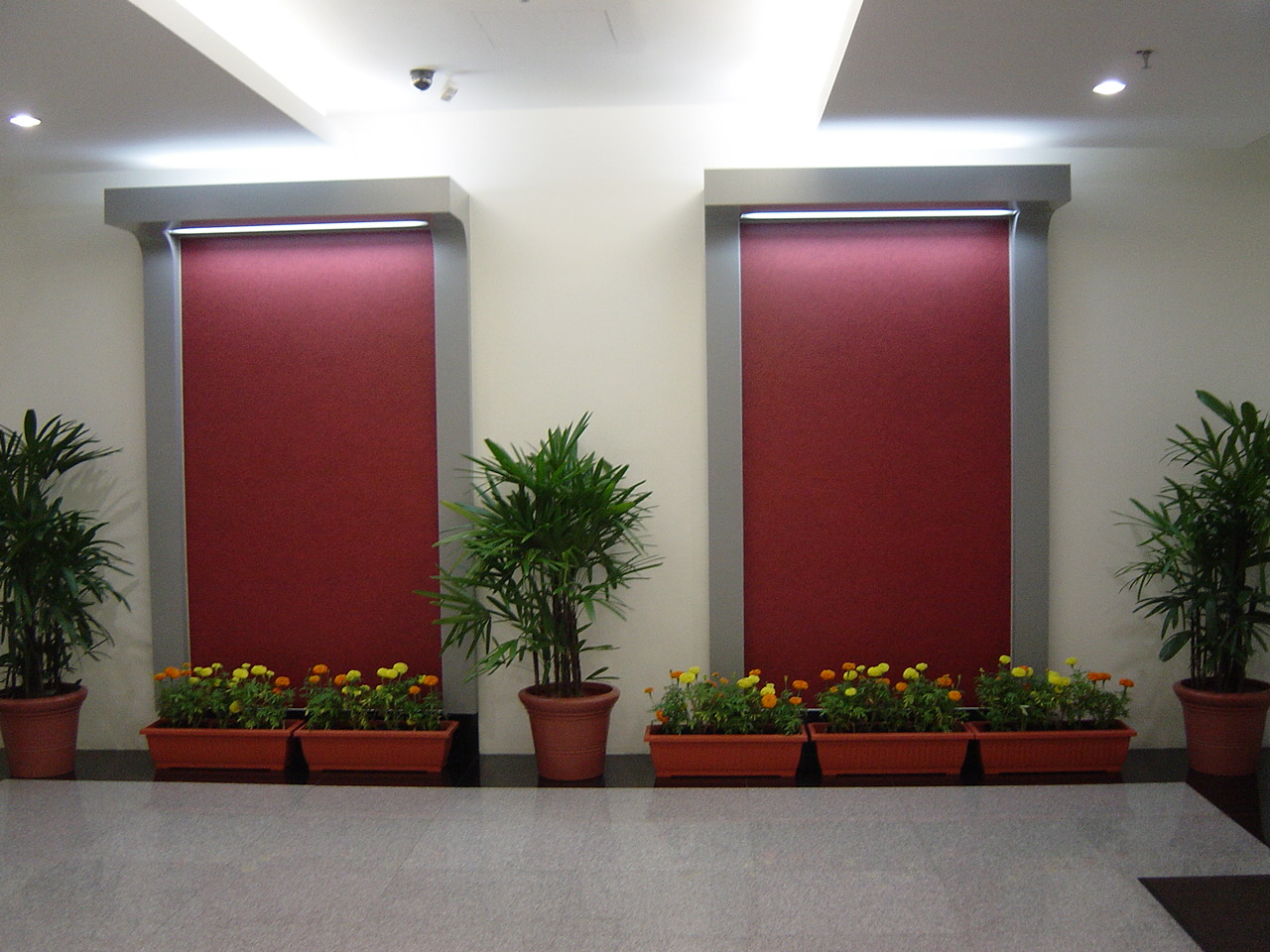 indoor-potted-plants-and-flowers-adhoc-display