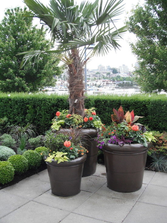 outdoor-potted-landscape