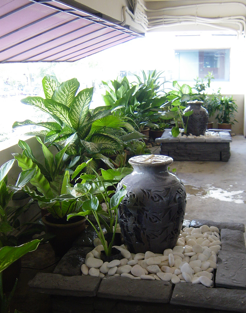 plants-arrangement-at-balcony